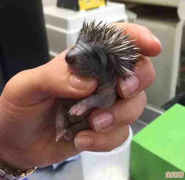 最终幻想14：水晶世界小犰狳获得方法，其实挺简单但别忘了这些步骤.