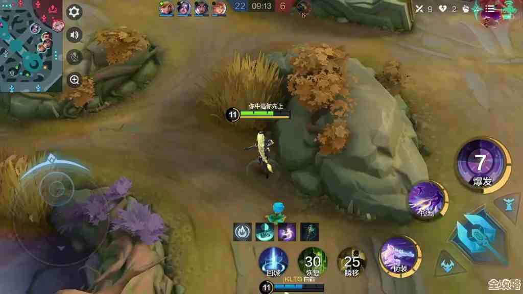 决胜巅峰莱斯丽出装到底咋弄，坦度还是爆发.