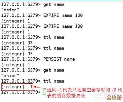Redis里记录一直存着不消失，没设置过期那种永久保存的情况分析