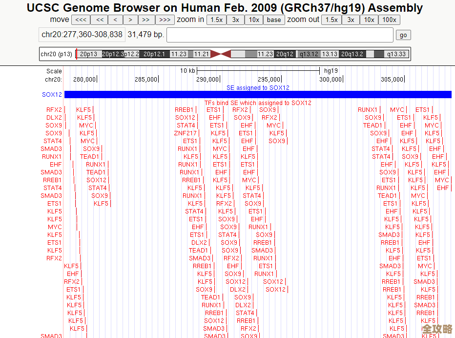 Orc数据库导入时那些命名规则和容易忽略的小细节你知道吗