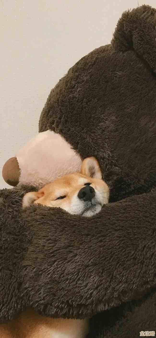 感受那种云计算带来的奇妙变化，真的是挺让人惊喜的体验