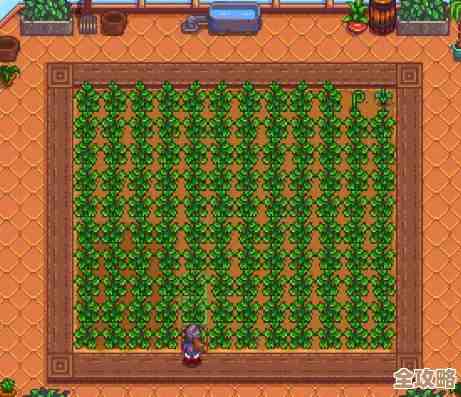 《星露谷物语》沙滩农场那些小技巧和没写明的隐蔽玩法