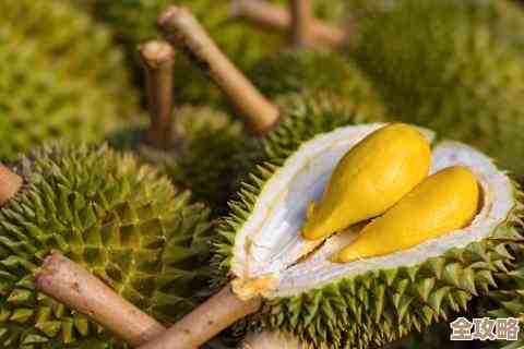 榴莲皮黄不黄真能看出成熟度吗，别只看果皮还得闻闻按按