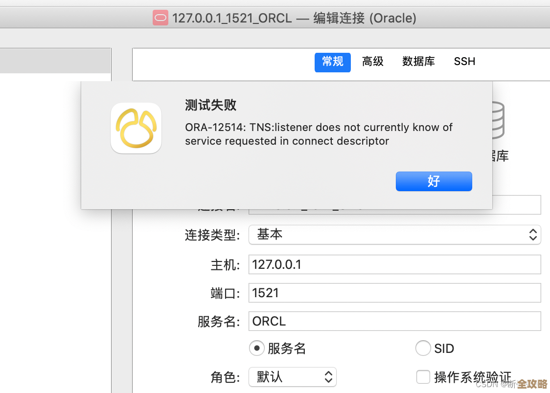 ORA-12736报错，Instant Client Light不支持服务器字符集，远程帮忙修复问题