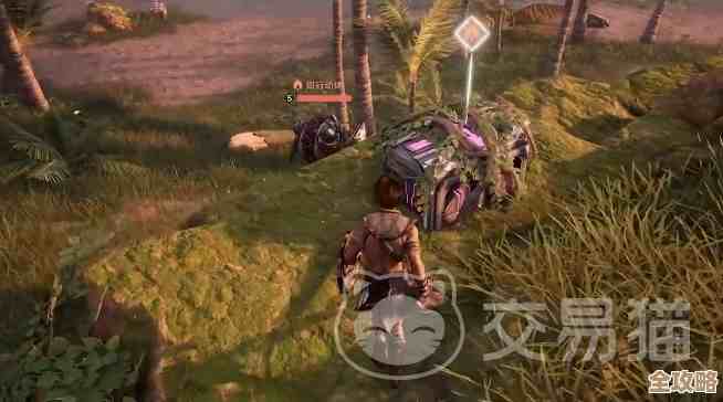 荒野起源补给宝箱详解，各类掉落和开启小窍门，自己看着办.