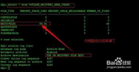 ORA-32029错误咋整啊，SCOPE=MEMORY或BOTH不支持，远程帮忙修复方案分享