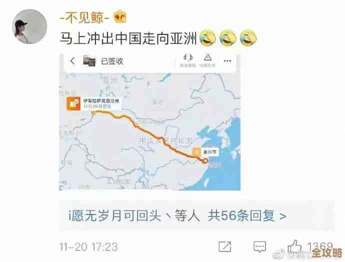 燕云十六声清河猫咪位置速递，别走丢了地图在这