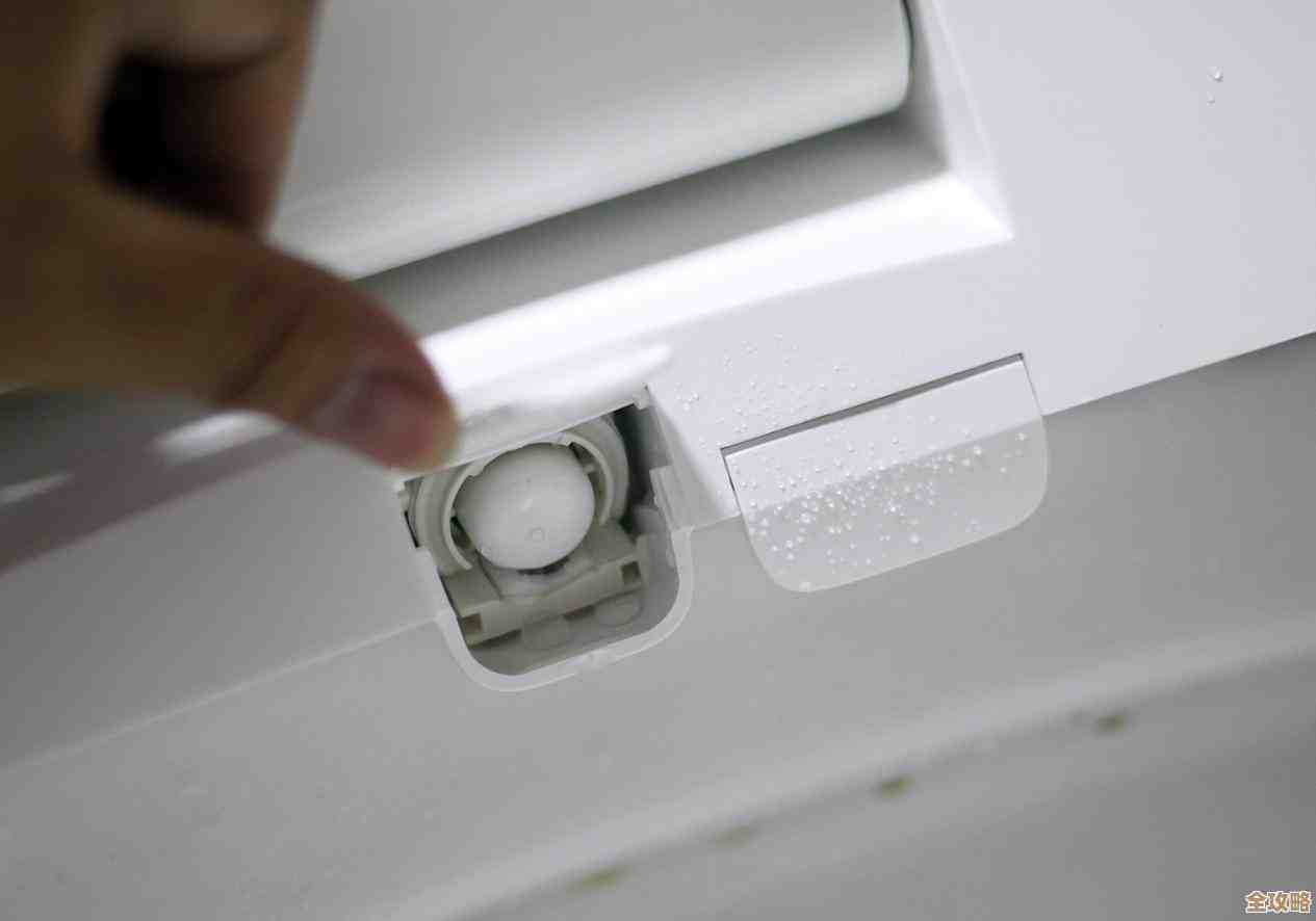 无限暖暖动物清洁能力获取方法，什么途径靠谱和凑数小技巧