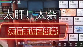 梦想新大陆护航玩法深挖，哪些点能帮你更有效护航…