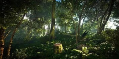 森林题材的游戏盘点，冷门佳作也能带你闻闻树叶味