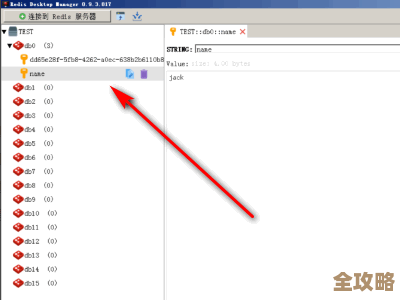 Redis里那些永远不会过期的Key，怎么做到永久保存不丢失的秘密