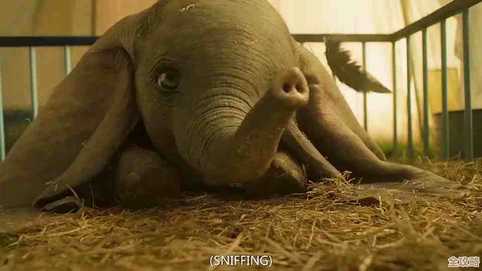 米姆米姆哈里拿大耳象的那些糟糕好运气和小技巧分享