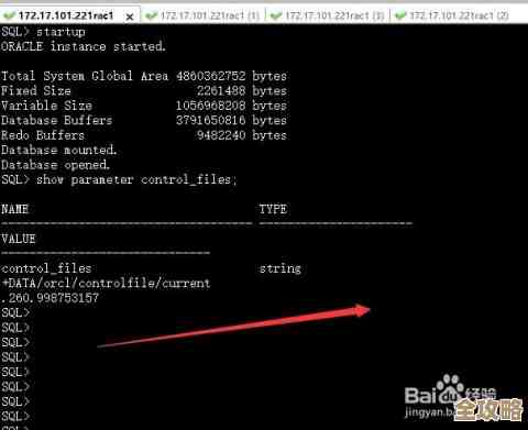 ORA-31079错误解决办法分享,远程帮你快速定位和修复问题 ORA-31079错误解决办法分享,远程帮你快速定位和修复问题