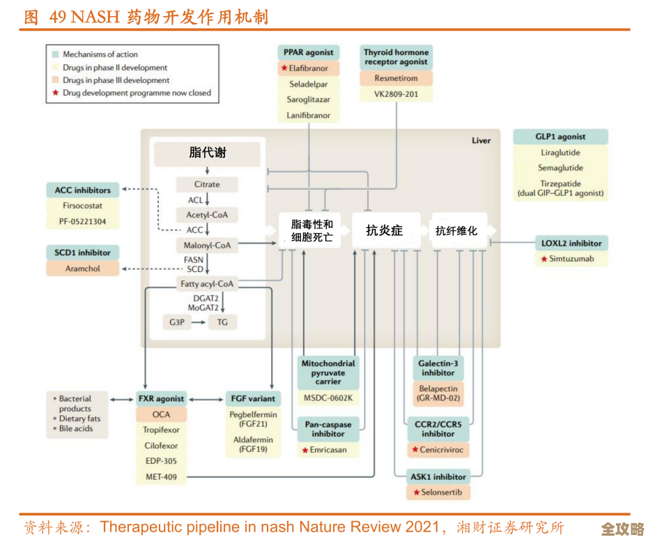 DB2里头并行索引怎么建和维护,操作步骤其实没那么复杂 DB2里头并行索引怎么建和维护,操作步骤其实没那么复杂