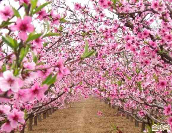 玩《桃花师》新手这几样必买道具先记着，后面会用到