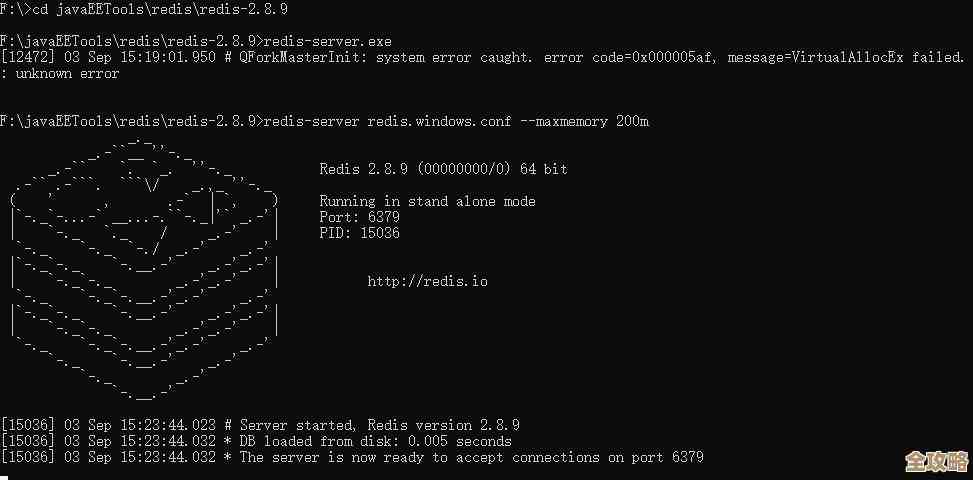 Redis老是闪退到底啥原因，服务器稳定性怎么保证啊