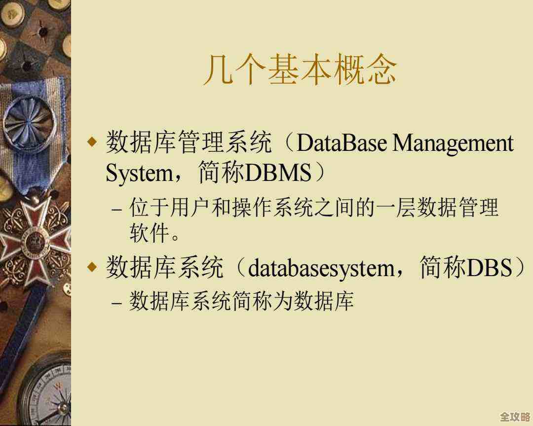 非数据库管理系统的软件那些东西，其实也算不上真正的DBMS吧