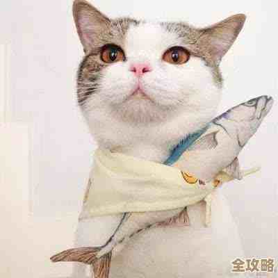 喵星猎人啾啾玩法速成,别太正规,先学会逗猫合成萌宠那几招就行啦 喵星猎人啾啾玩法速成,别太正规,先学会逗猫合成萌宠那几招就行啦