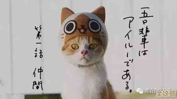 喵星猎人啾啾玩法速成，别太正规，先学会逗猫合成萌宠那几招就行啦