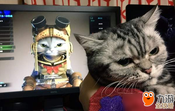 喵星猎人啾啾玩法速成,别太正规,先学会逗猫合成萌宠那几招就行啦 喵星猎人啾啾玩法速成,别太正规,先学会逗猫合成萌宠那几招就行啦